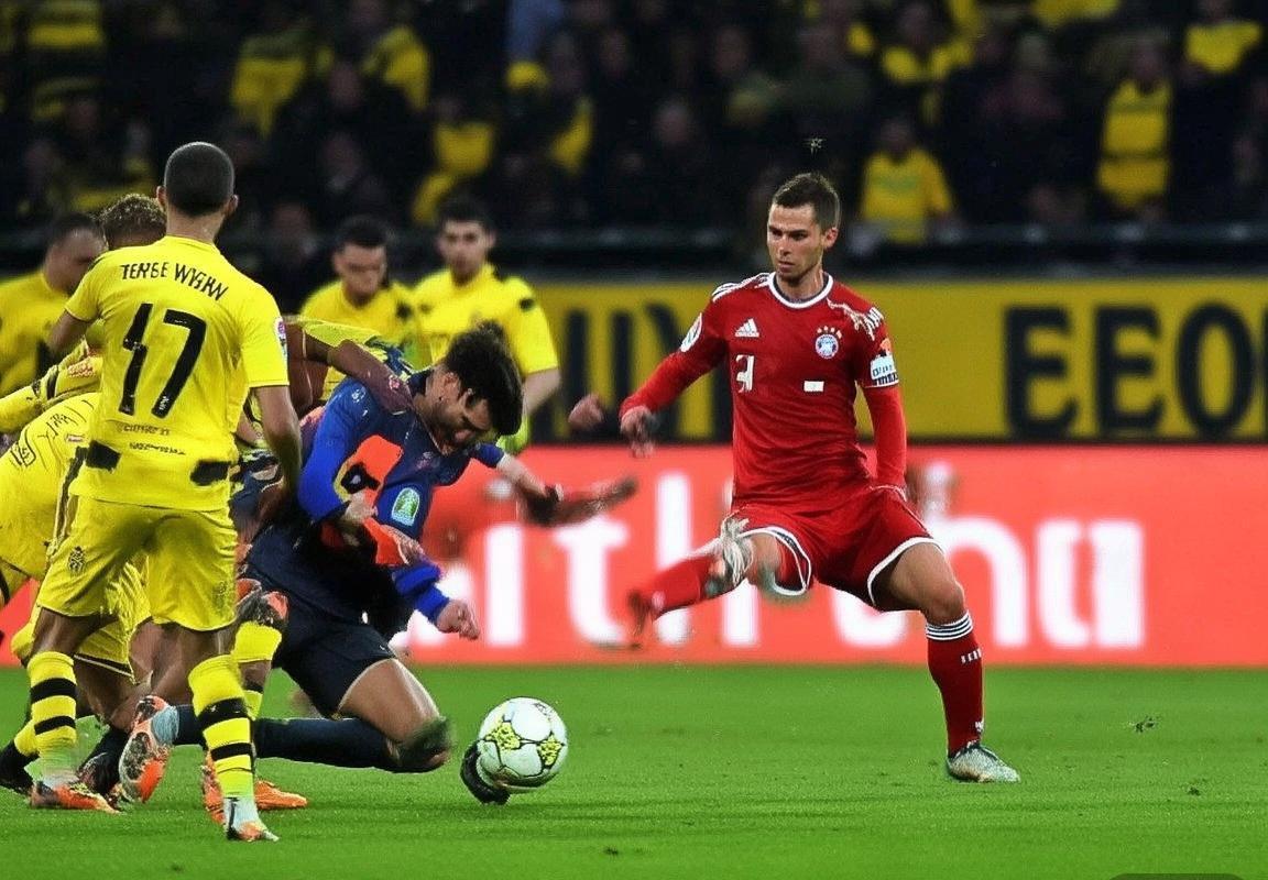 多特蒙德球迷暴力事件：足球界的反思与未来变革(图3)