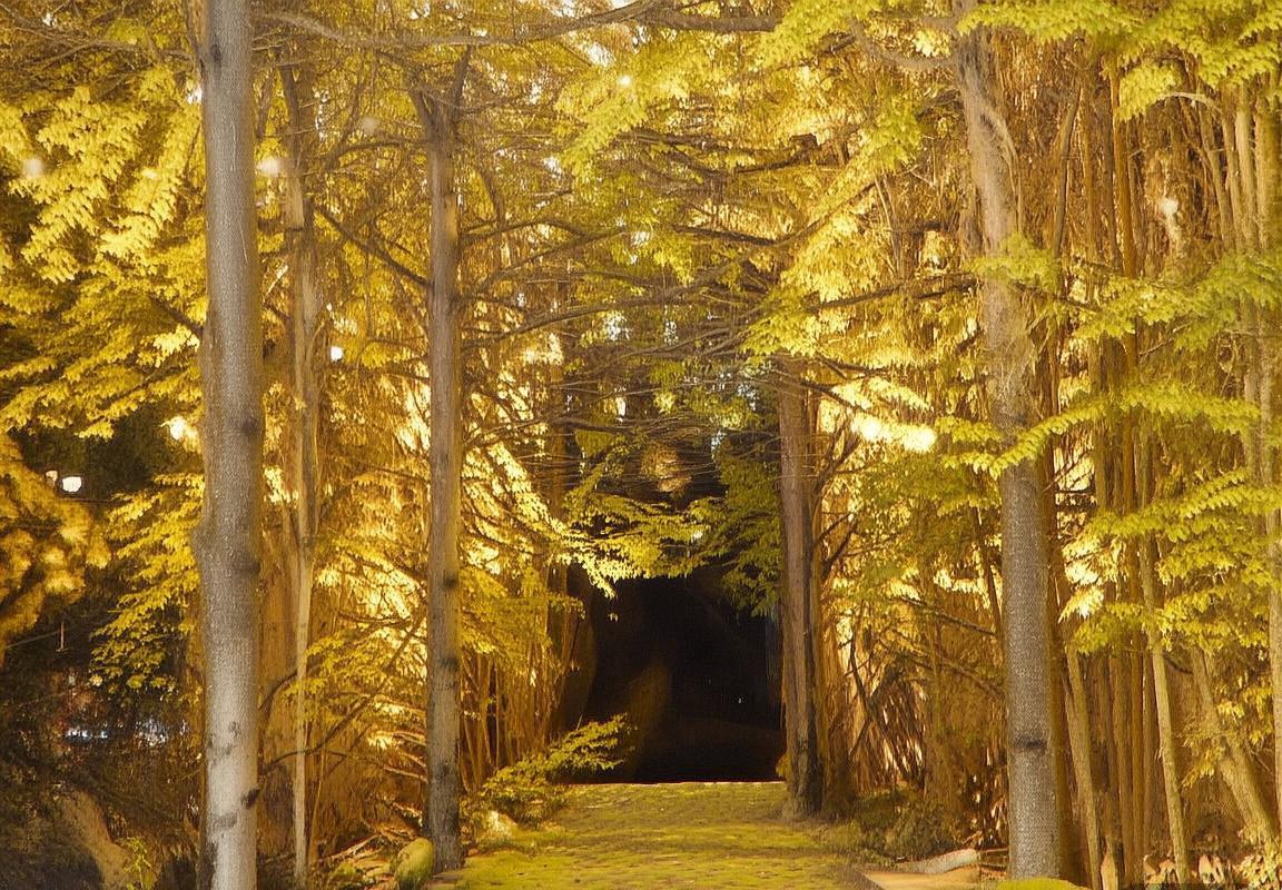 菲科西宁VS人民公安：巅峰对决背后的足球魅力与未来展望(图2)